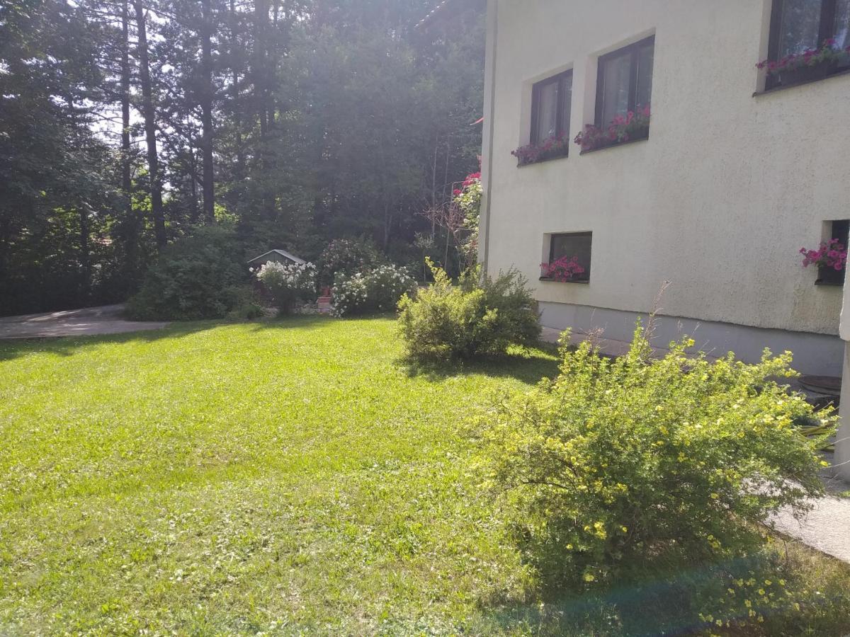 Apartmani Eho Zlatibor Eksteriør billede